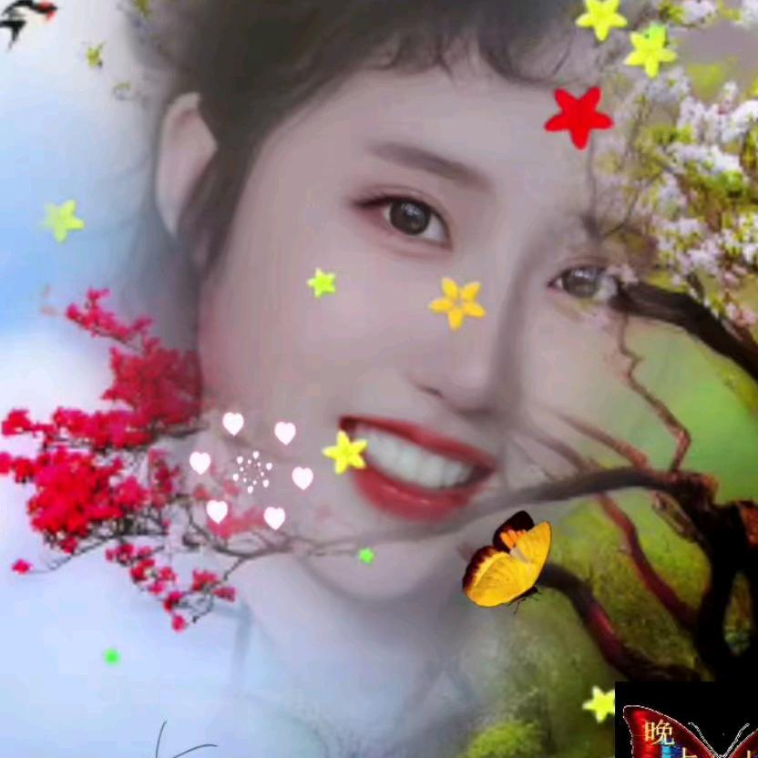 萍姐