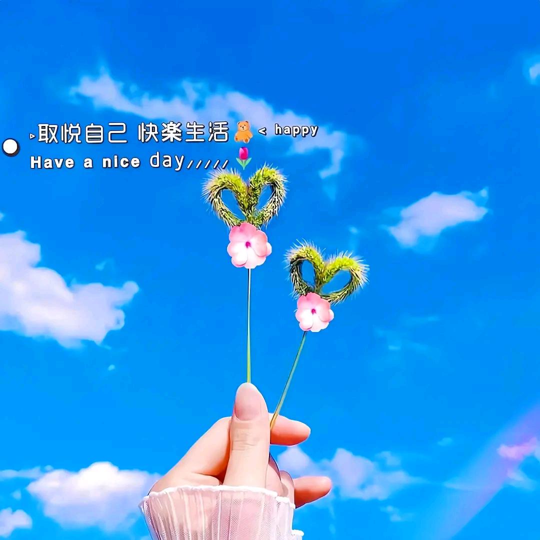宝儿