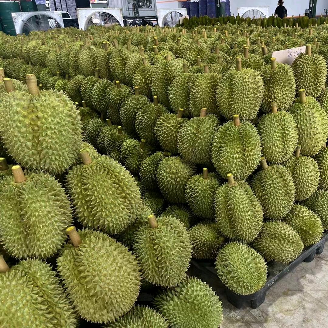 快乐园