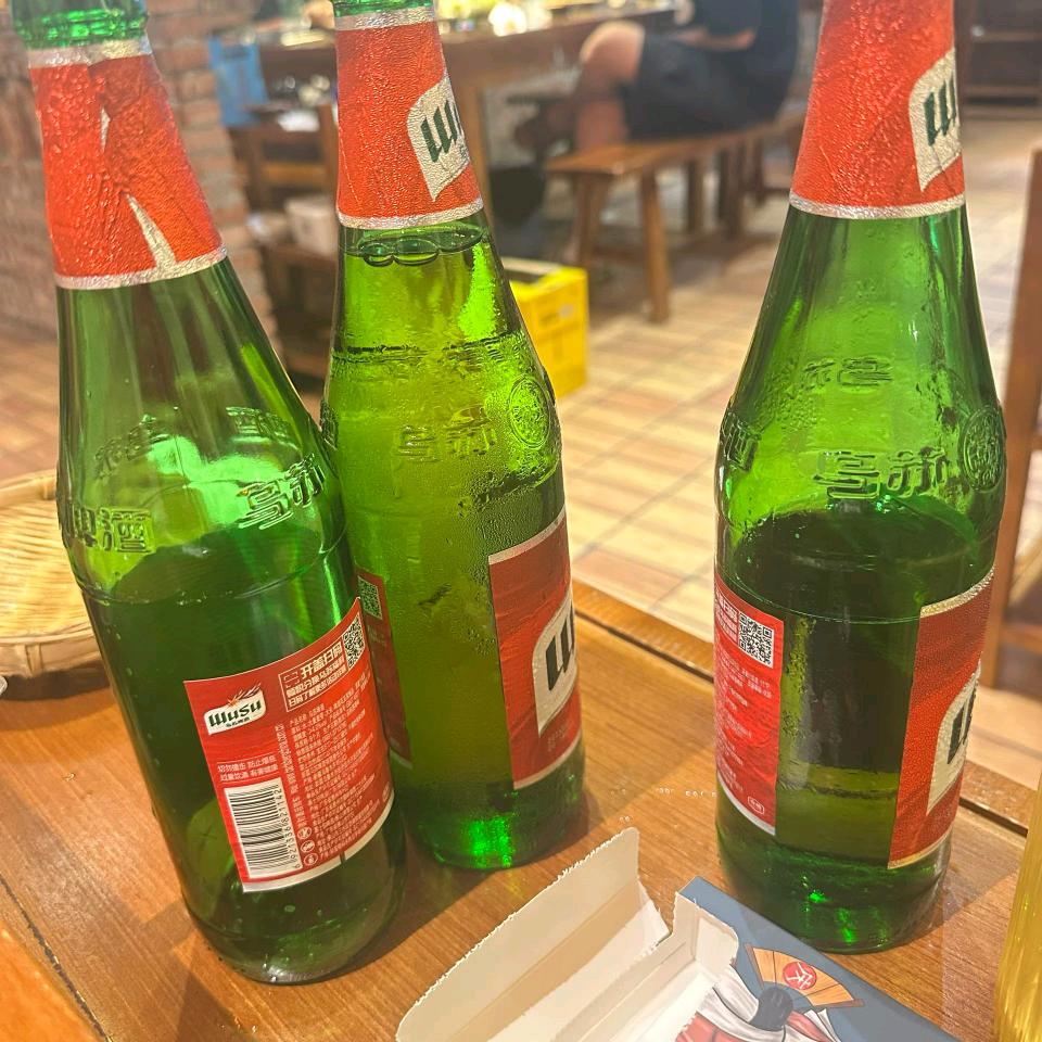 一只摆烂的猫