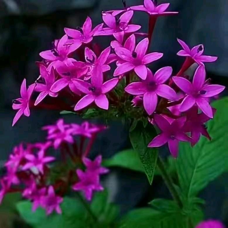 ＠(￣-￣)＠＠(￣-￣)＠