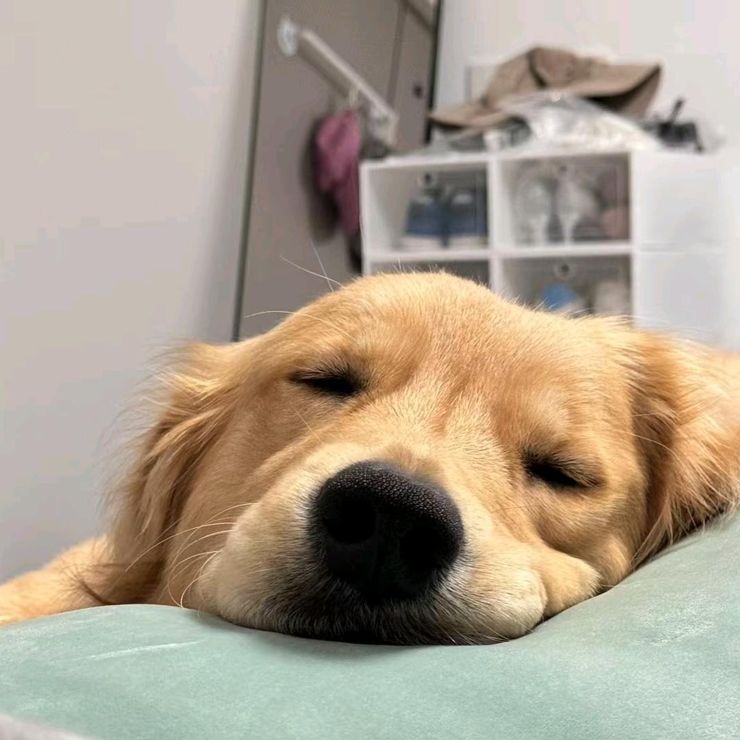 zzzz