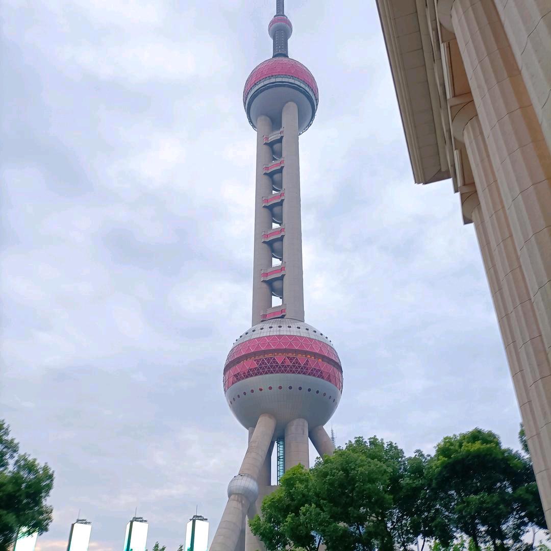 老熊艾米果