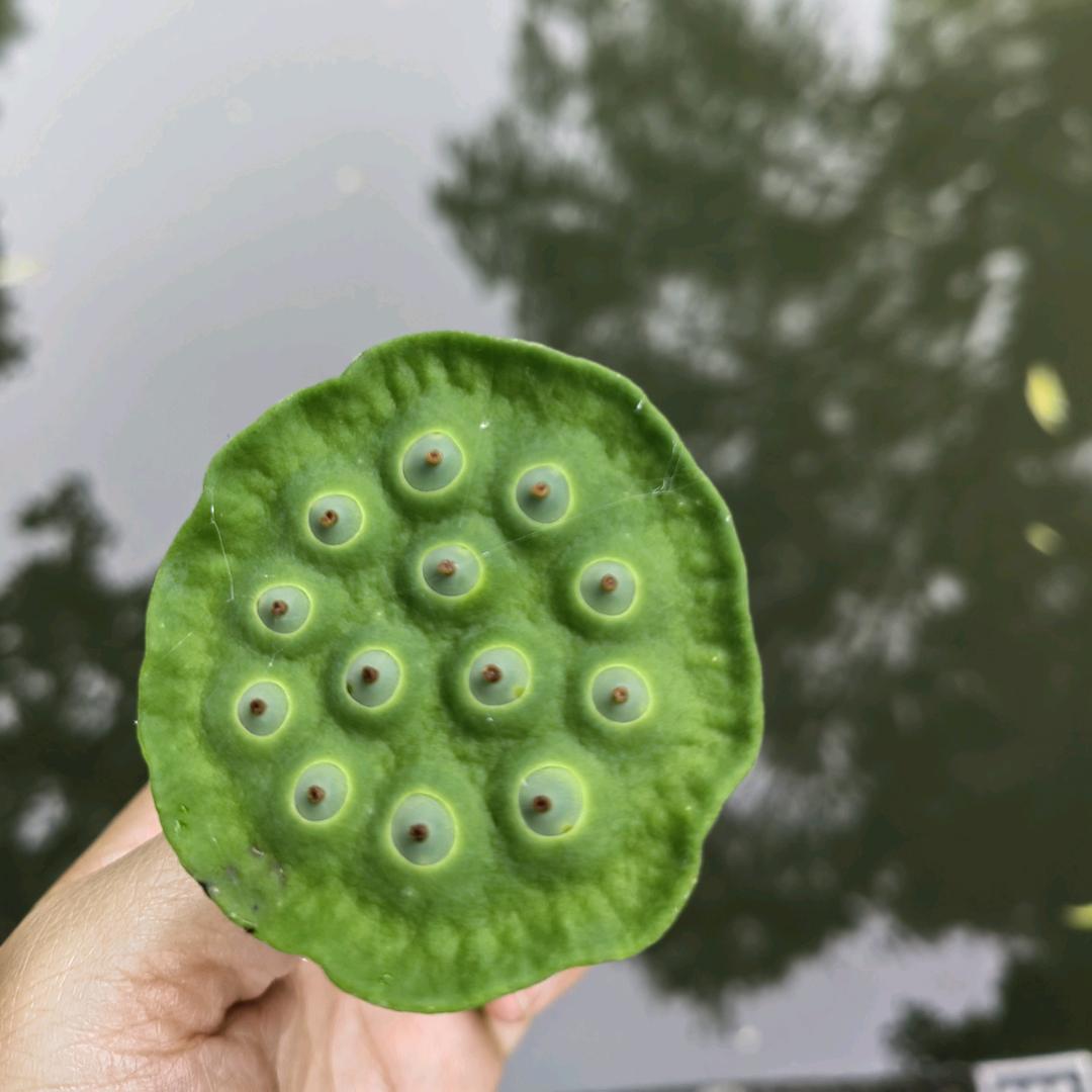 优秀推荐官的百货