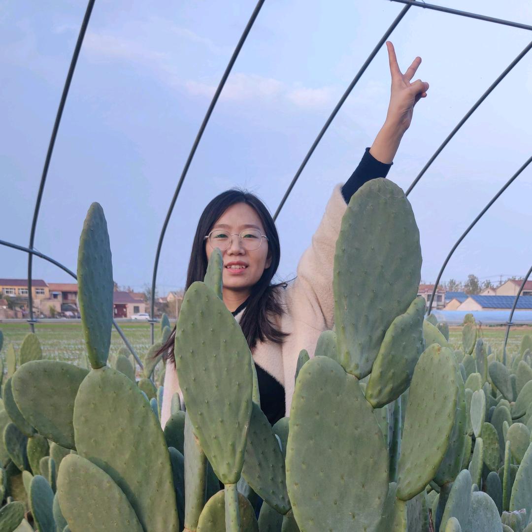 仙人掌绿意坊