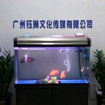 钰琳传媒