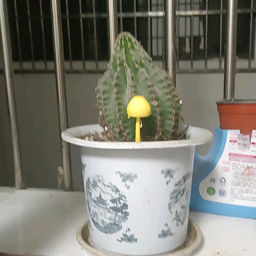 我谁便
