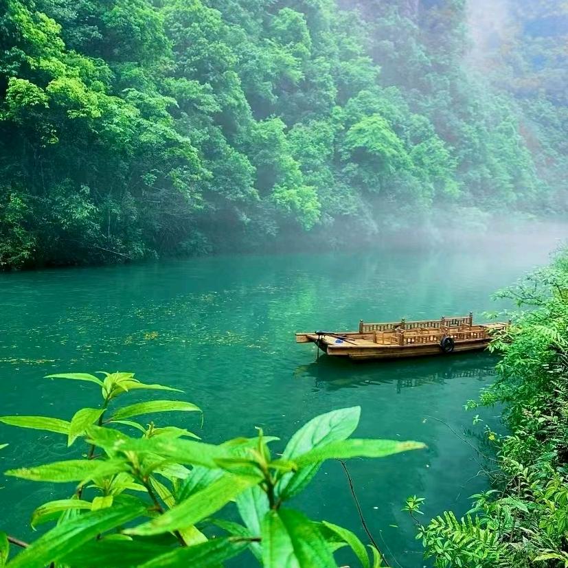 无风不起浪