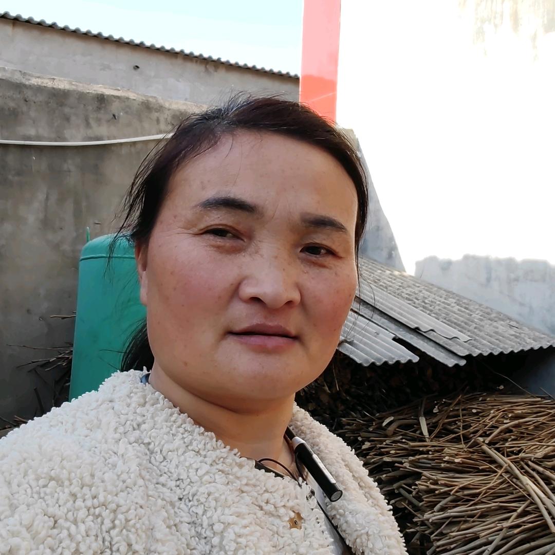 马二姐每天下午3:31开播