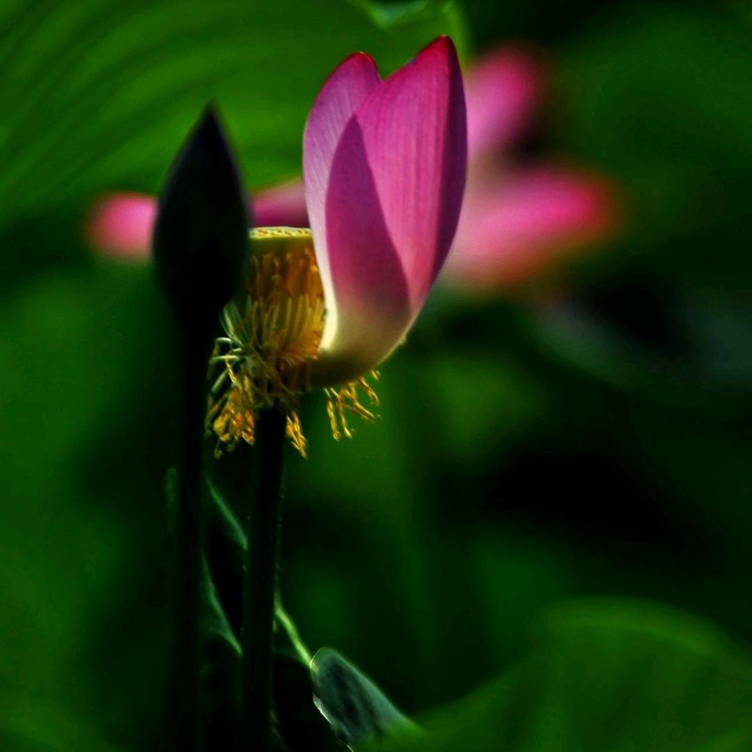 暇言遐语♥【感情磨刀石】