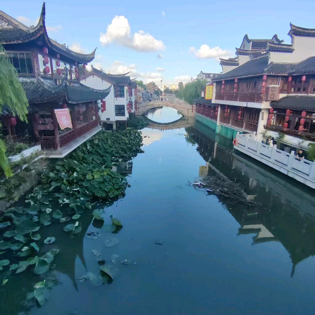 河南老李