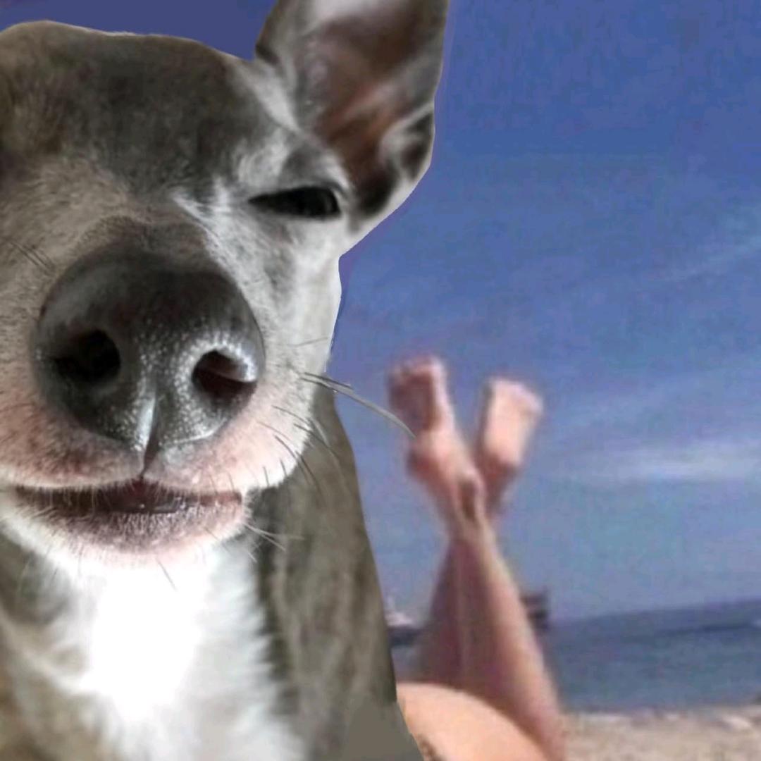 喜欢冬天不只是季节