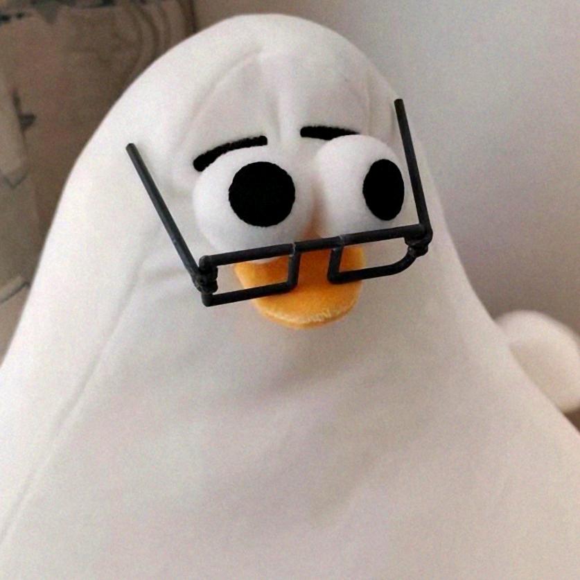 蒙蒙灰小姐
