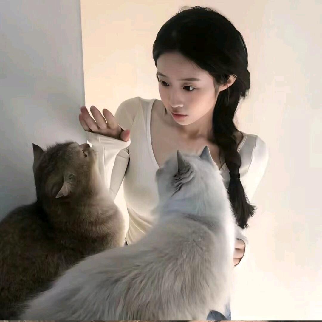 困悸