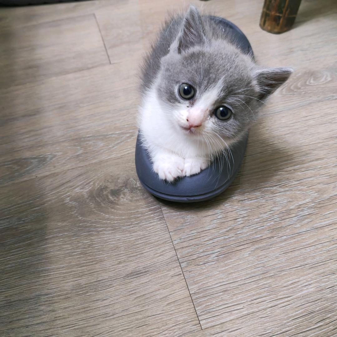 谭先森