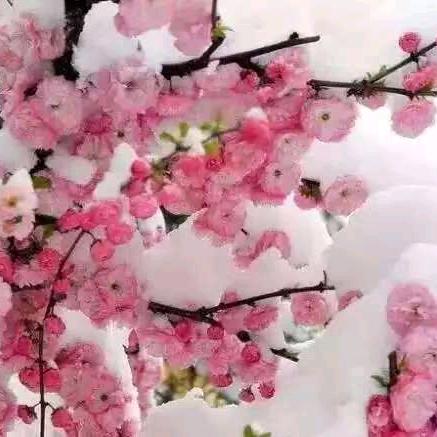 顺其自然