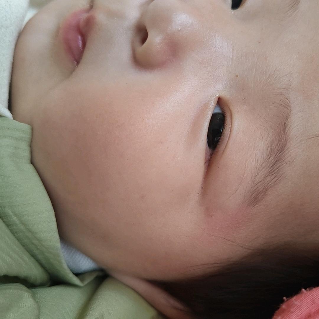 全武