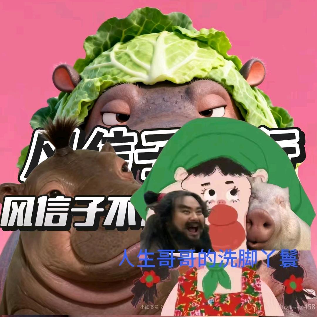 风信子·𝓜