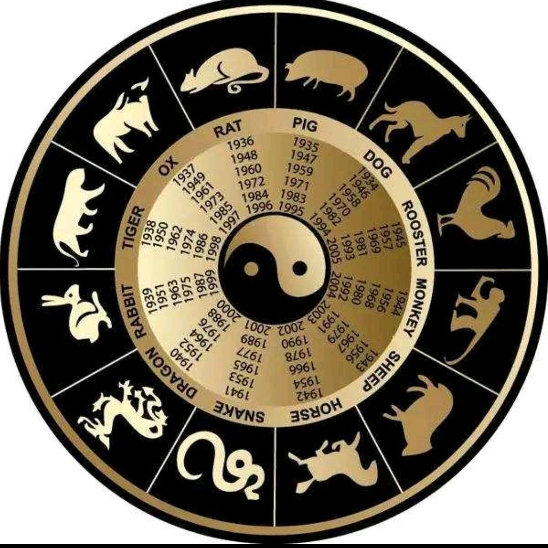 皓悦先生🐀
