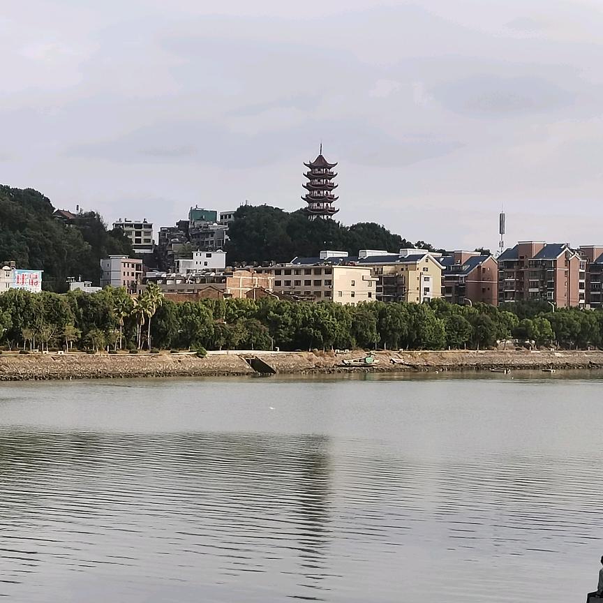 共创联盟维哥