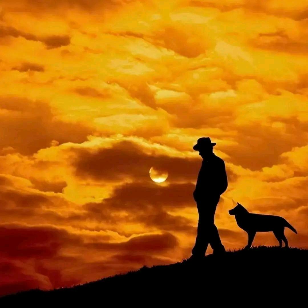 一杯✪ω✪清茶