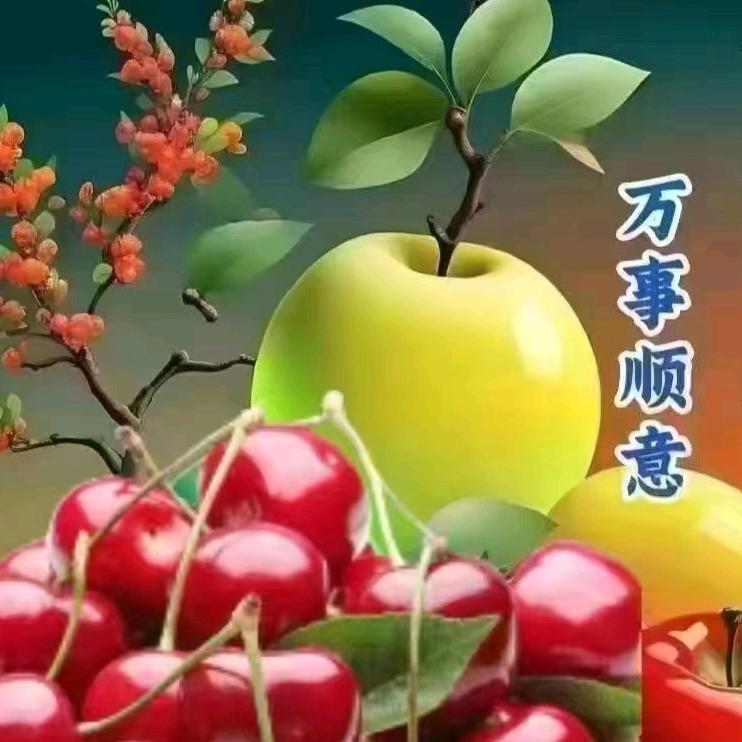 小老六拆拆