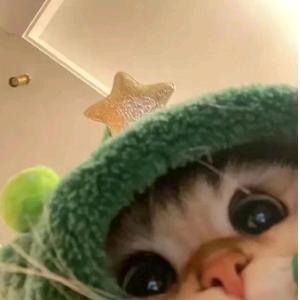 1133