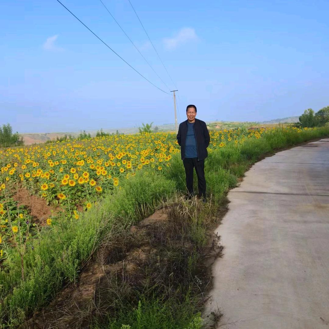杨青海