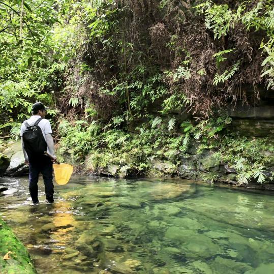 潘桂彬【下去沉淀】