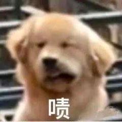 随便吧起名太麻烦了