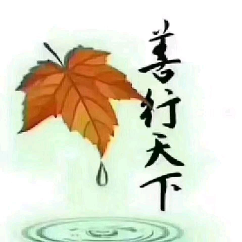 六胆韵卉