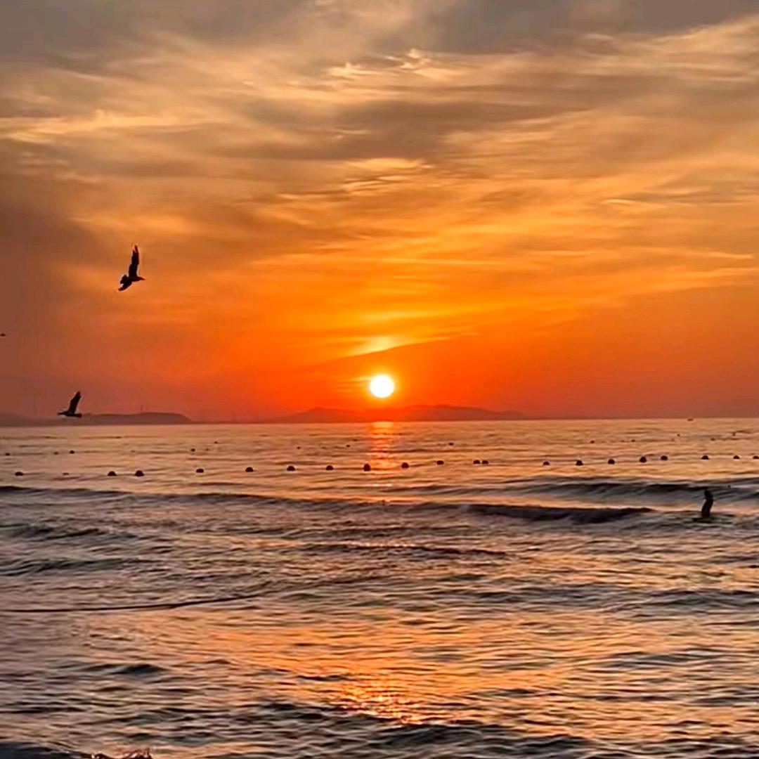 胶州尚和桂花园