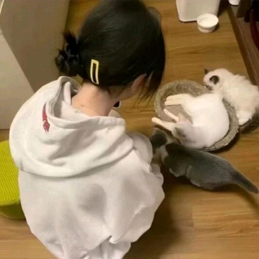 秦思安