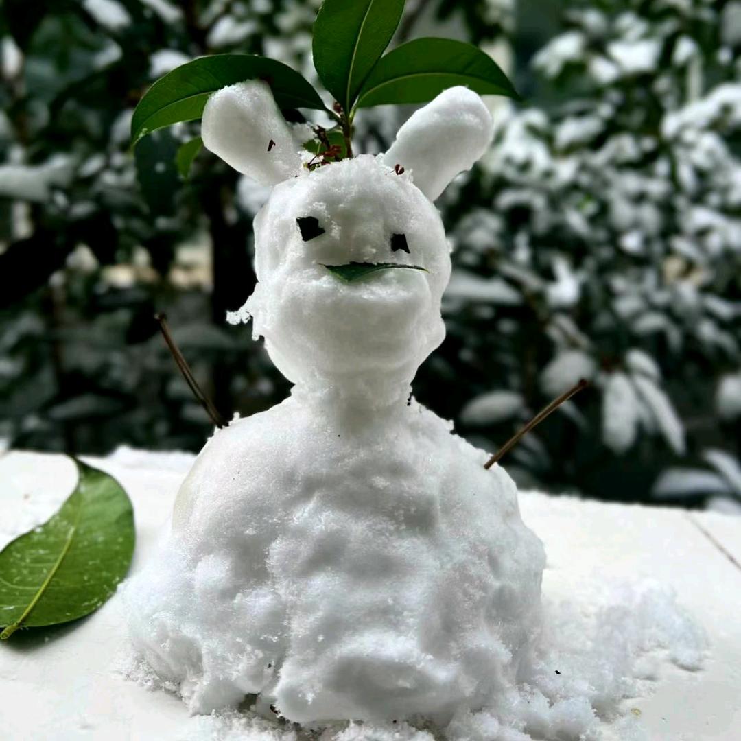 卑鄙蚂蚁