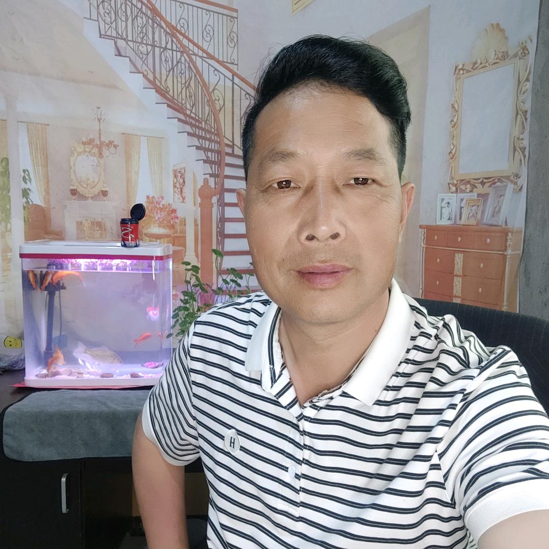 宏柏一梦