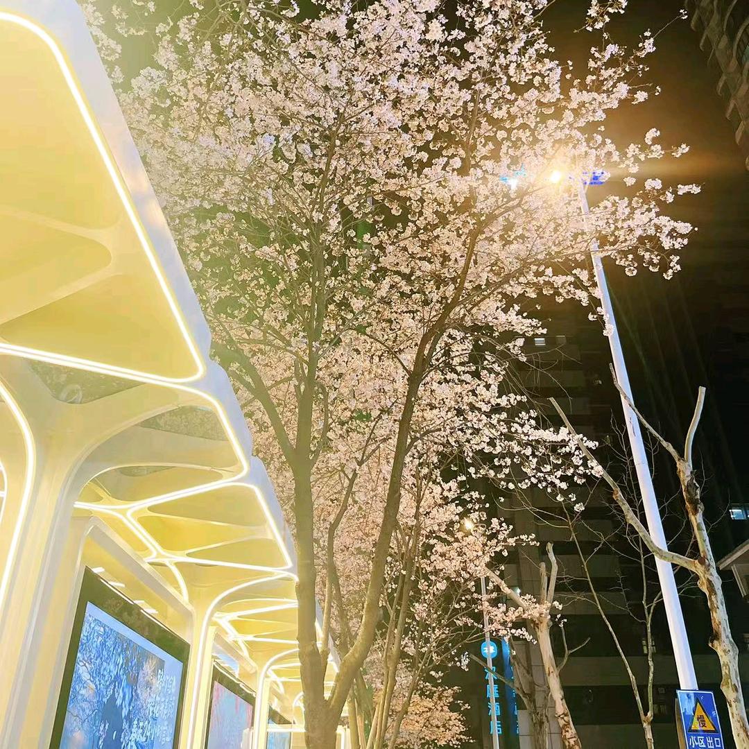 枫桥夜泊泡泡浴🛁