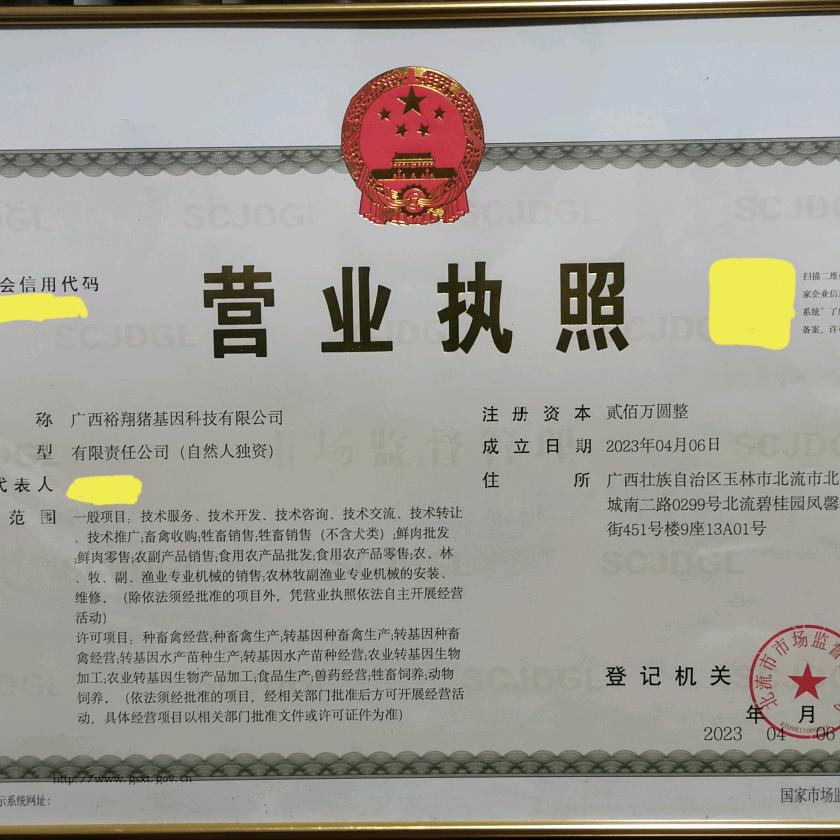 广西裕翔猪精