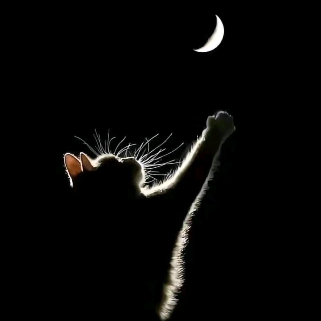 是夏夏夏夏xia甜啊