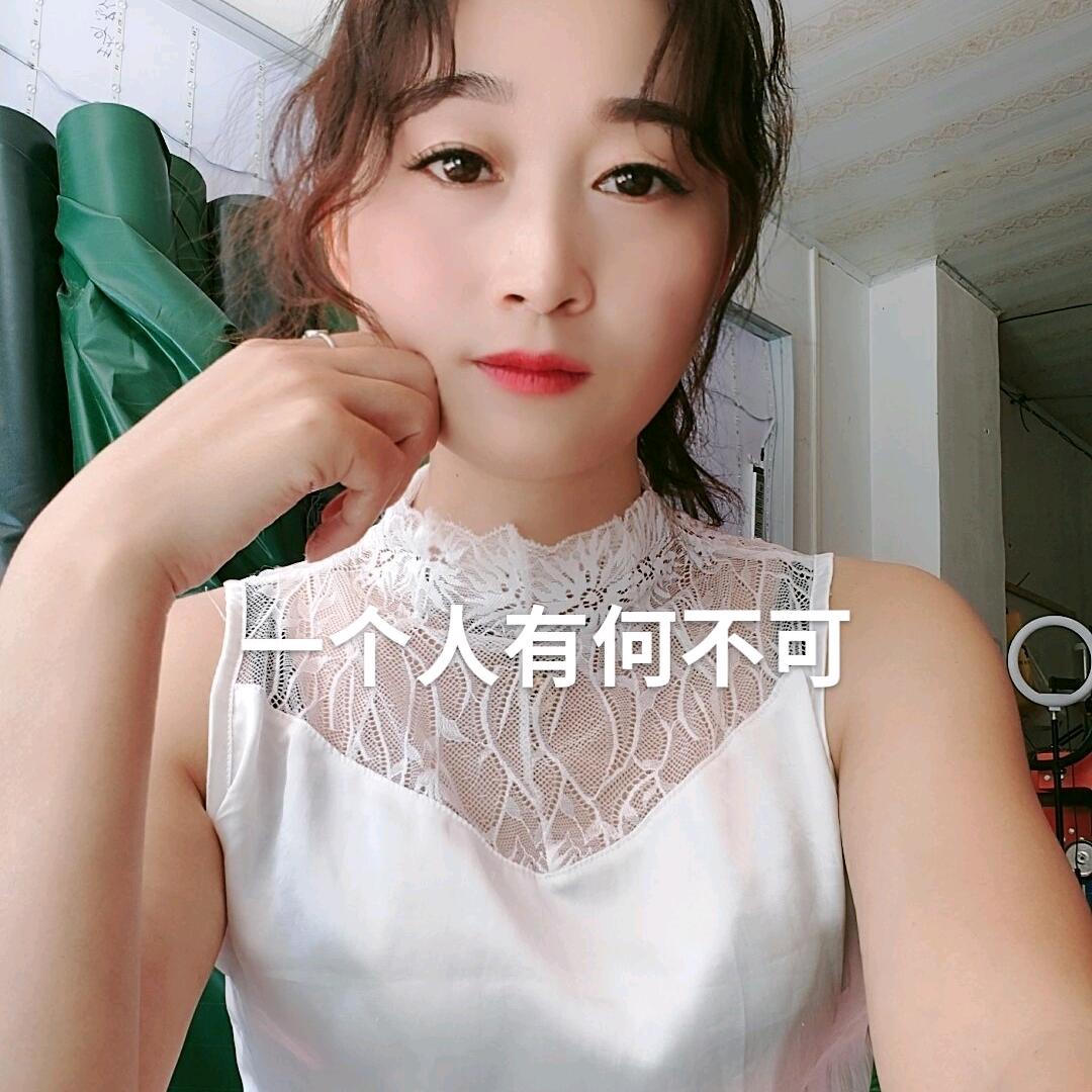 单只燕子