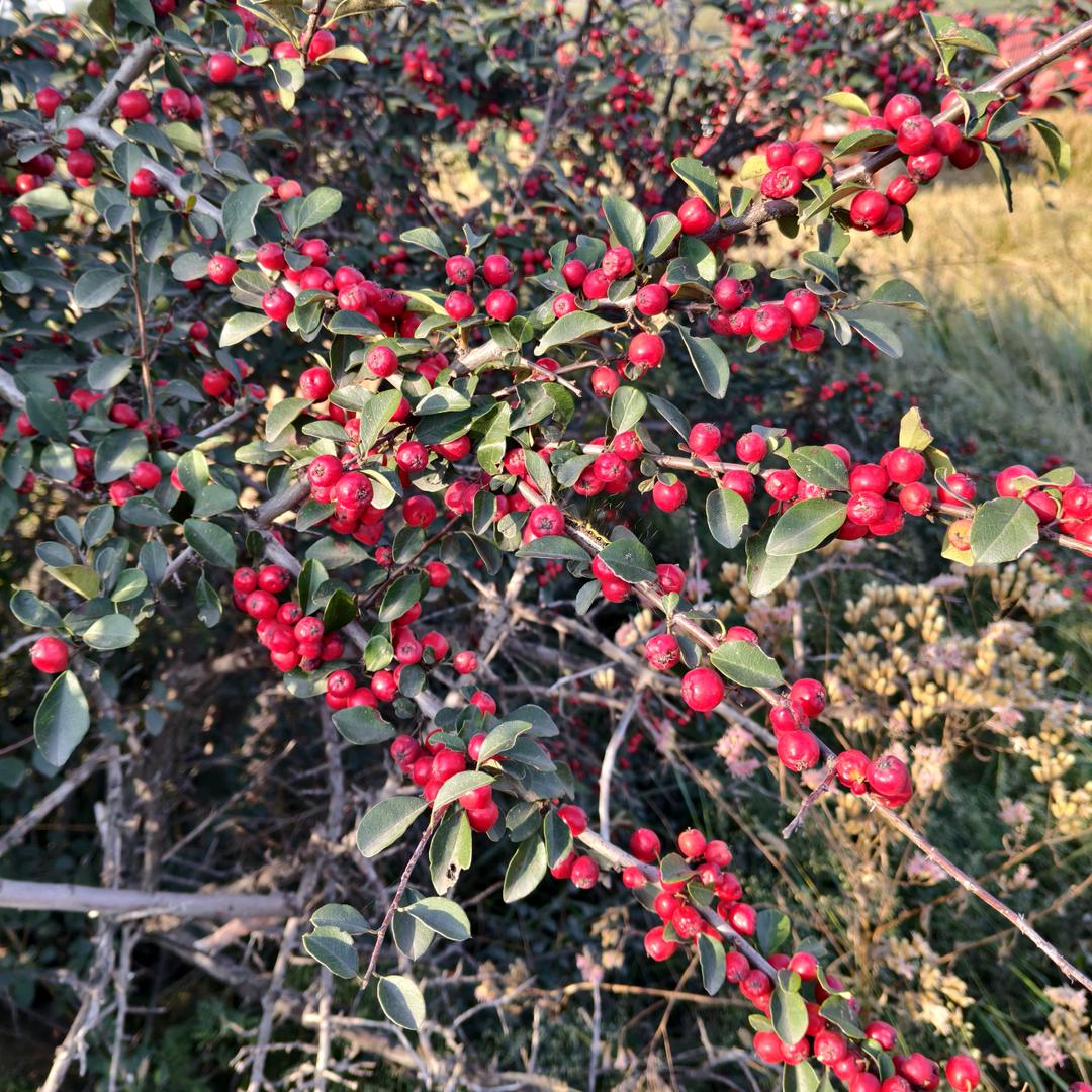 笑看人生_157044529