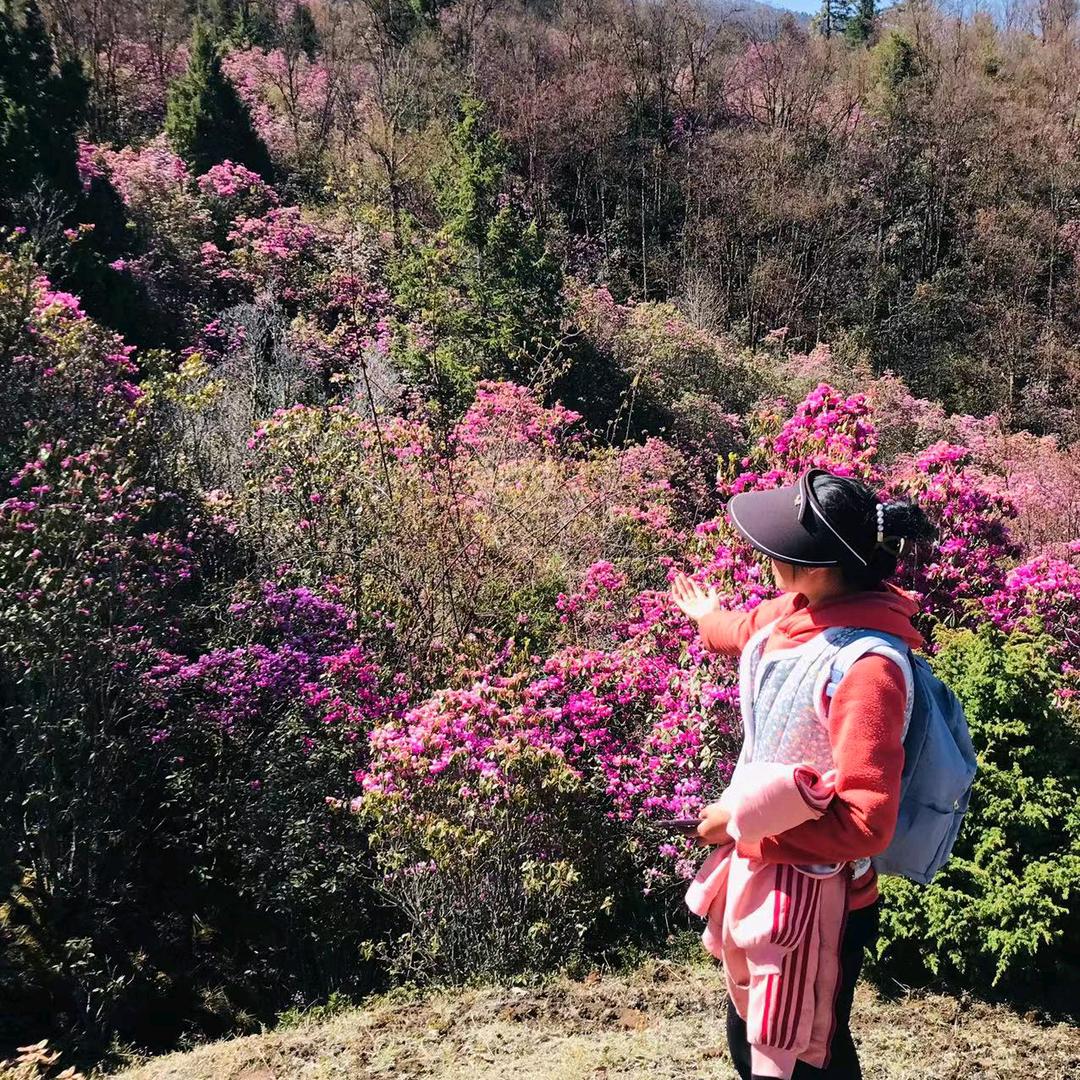 从未拥有，谈何失去