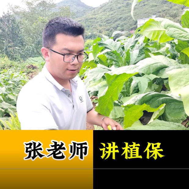 张老师讲植保