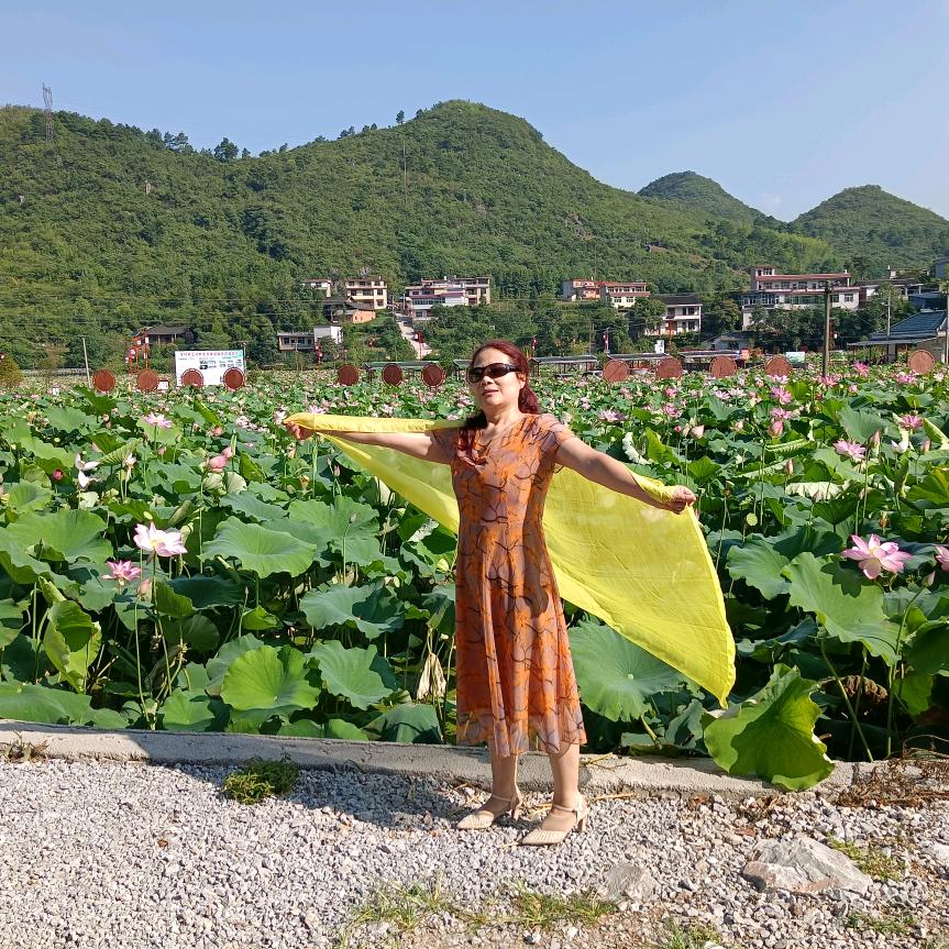 风和曰丽