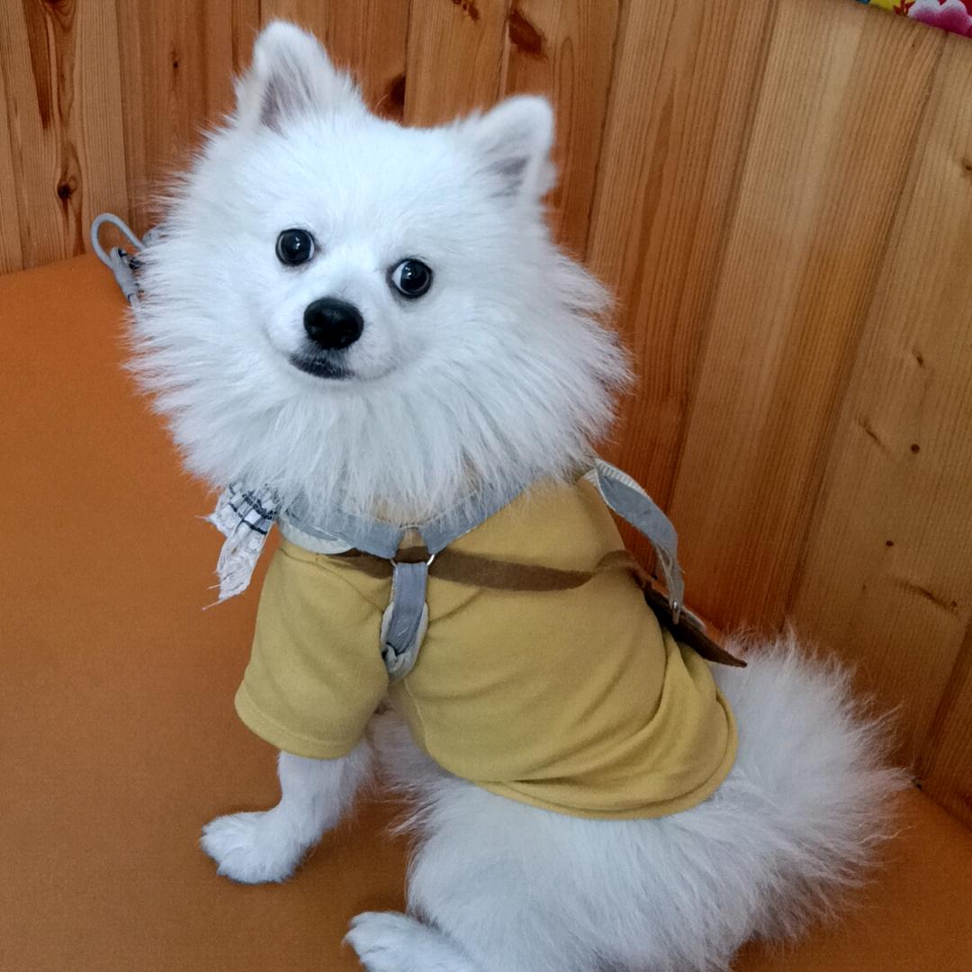 姐的霸气，你是学不来的