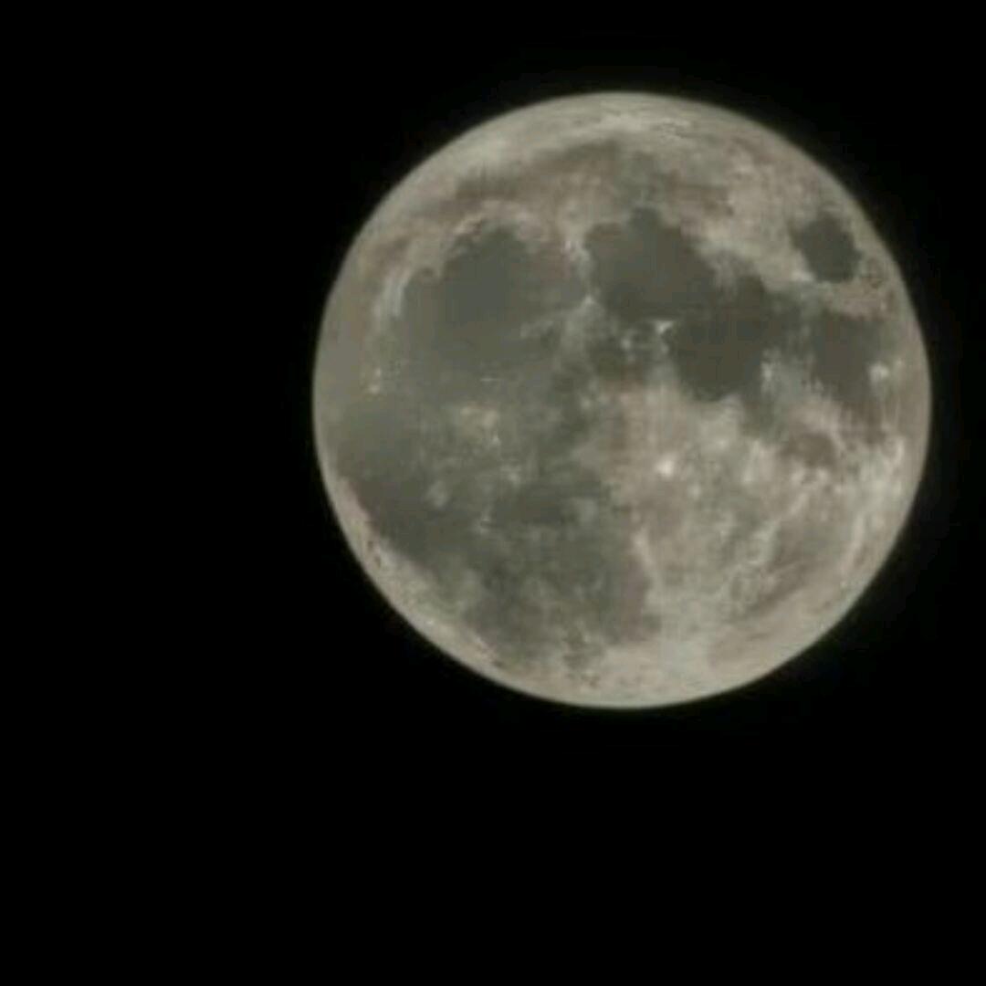 不冷不热白开水