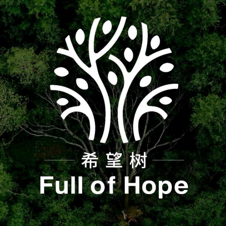 希望树上门除甲醛
