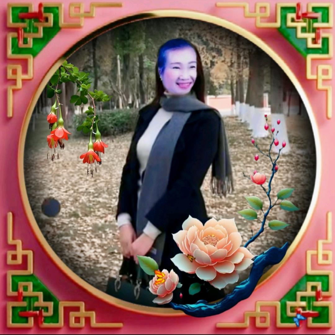 梦里追寻