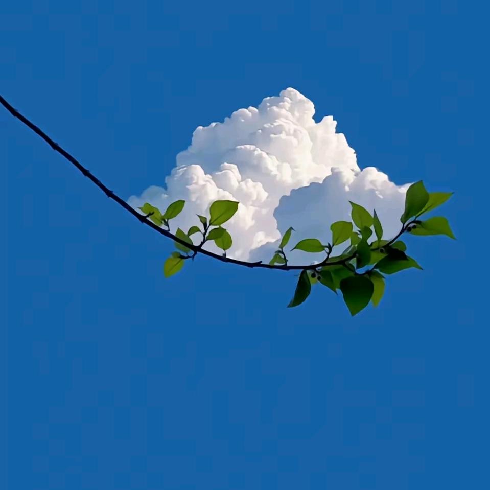 🎶一切随缘🎵