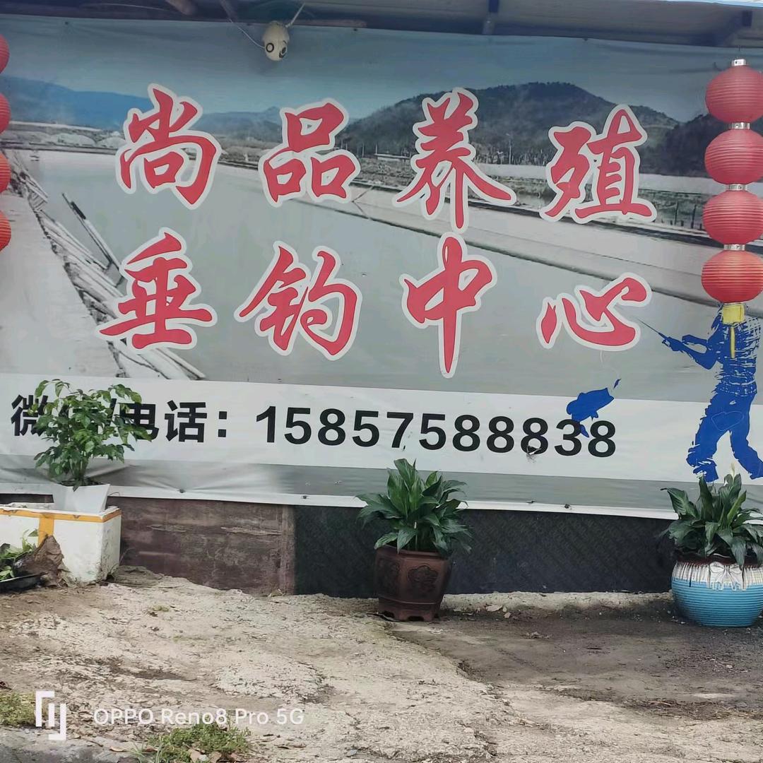 小小小小兵哥哥