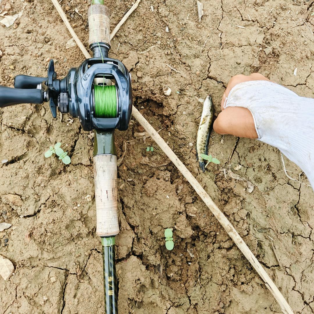 刺鱼带风的阿斌
